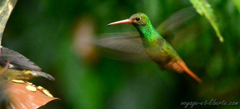 Un pied dans chaque hémisphère Un pied dans chaque hémisphère