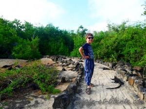 Courageux, mais pas téméraire