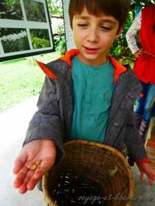 colombie salento finca de café