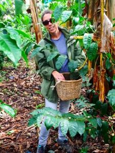 colombie salento finca de café