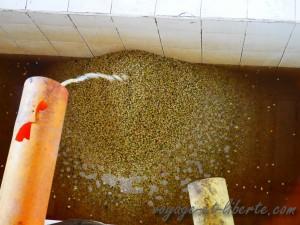 colombie salento finca de café