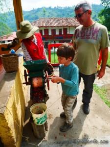 colombie salento finca de café