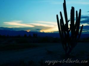 colombie désert de tatacoa