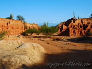 colombie désert de tatacoa