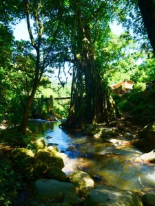 colombie minca