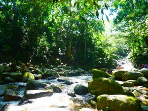 colombie minca