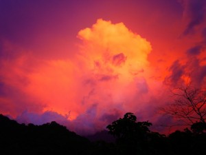 colombie minca