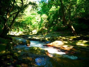 colombie minca