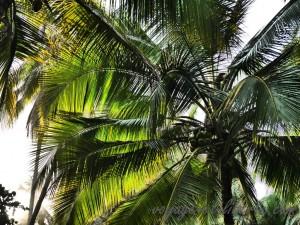 colombie caraïbes