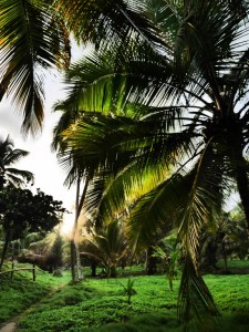 colombie caraïbes