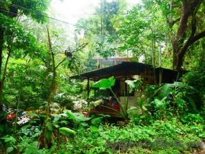 colombie minca