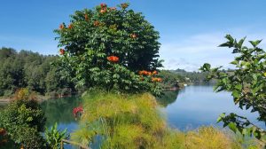 Colombie, Guatapé, guest house, chambre d'hôtes, lac, Peñon