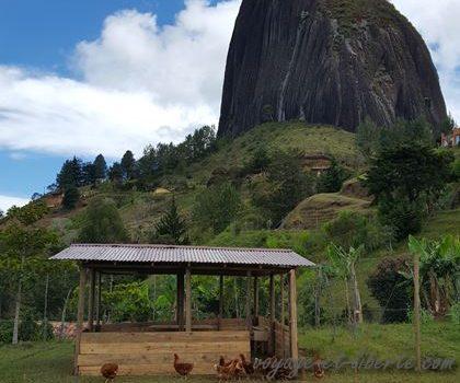 Doucement le matin …