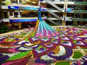 colombie fête de fleurs