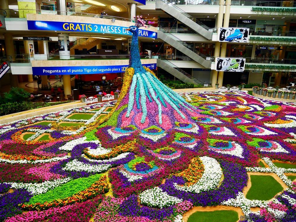 colombie fête de fleurs