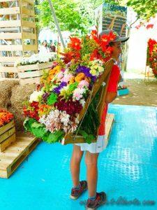 colombie fête de fleurs