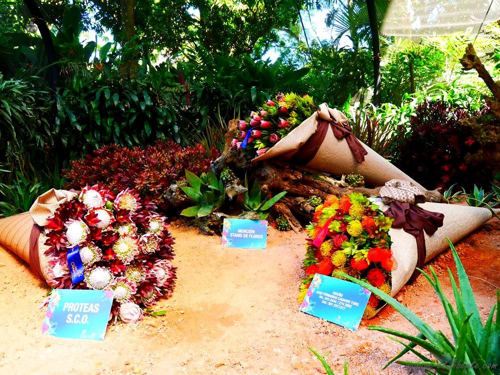 colombie fête de fleurs