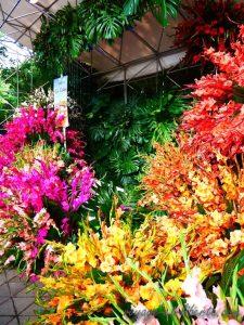 colombie fête de fleurs