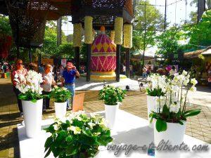 colombie fête de fleurs