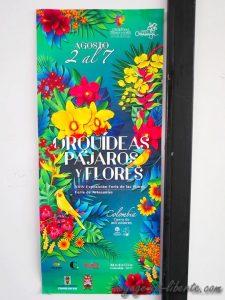 colombie fête de fleurs