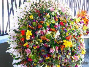 colombie fête de fleurs