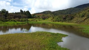 Guatapé
