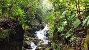 #guatape #colombie #lac