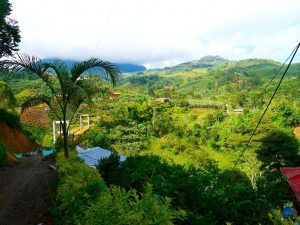 Colombie Jardin
