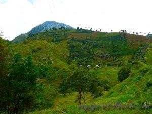 Colombie Jardin