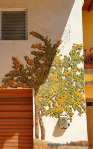 El Carmen de Viboral