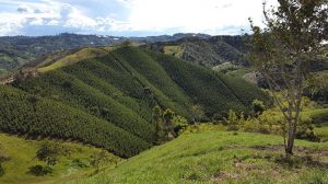 El Peñol, Antioquia