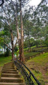 Medellin, Cerro Nutibara