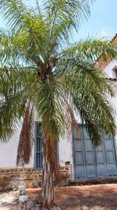 santa fe de antioquia