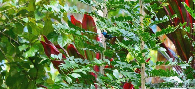 Voyager en Colombie : 21 réflexes de français à abandonner avant de partir