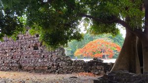 panama viejo
