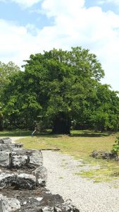 panama viejo