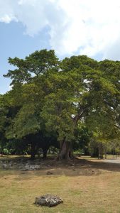 panama viejo