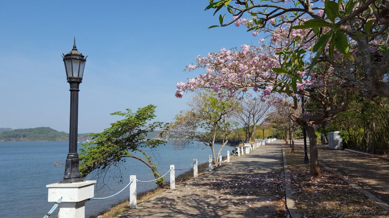 canal de panama