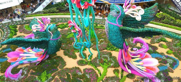 Medellin fête les fleurs et c&rsquo;est grandiose (1) !