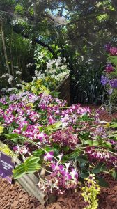 Medellin fête des fleurs 2018