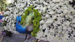 Medellin fête des fleurs 2018