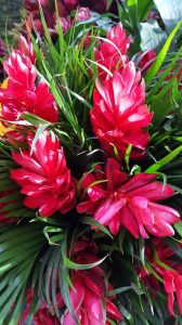 Medellin fête des fleurs 2018
