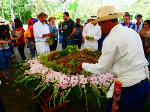 Medellin fête des fleurs 2018