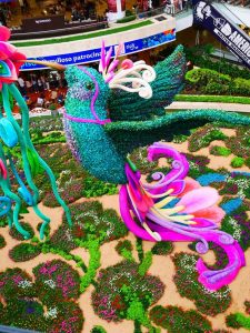 Medellin fête des fleurs 2018
