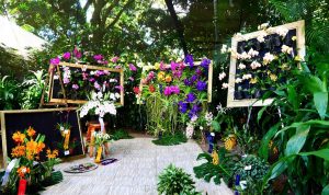 Medellin fête des fleurs 2018