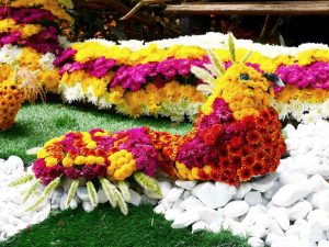 Medellin fête des fleurs 2018