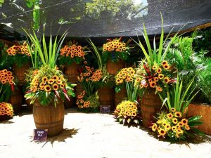 Medellin fête des fleurs 2018