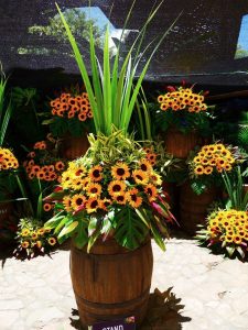 Medellin fête des fleurs 2018