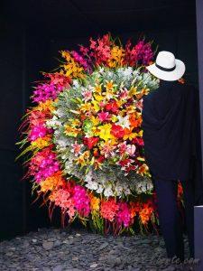 Medellin fête des fleurs 2018