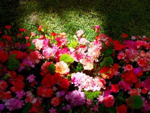 Medellin fête des fleurs 2018